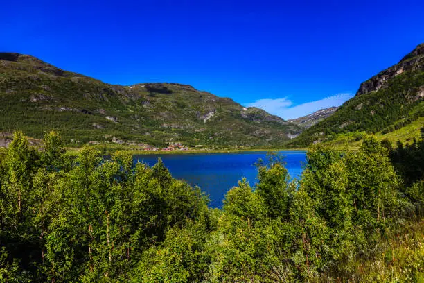 Beautiful natural landscape on a lovely summer day west in Norway