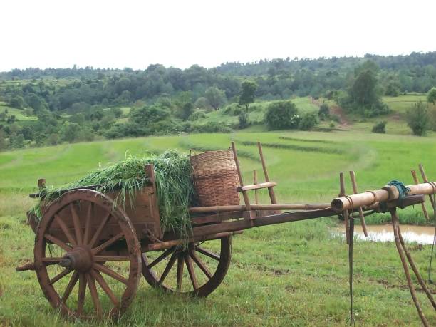 istock A  cart in asia 647985902