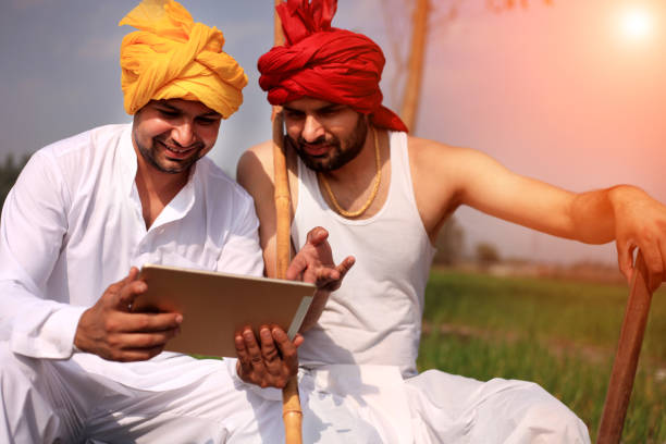 istock Two farmer discussion something in the field 647990144