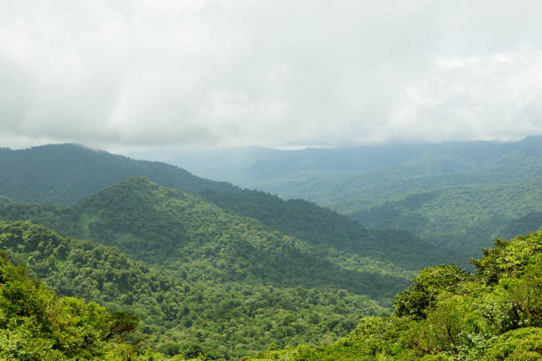 istock Rainforest landscape in Monteverde Costa Rica 647994426