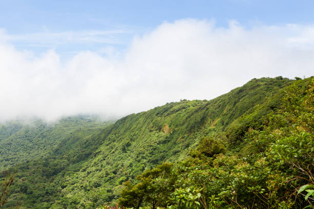 istock Rainforest landscape in Monteverde Costa Rica 647995084
