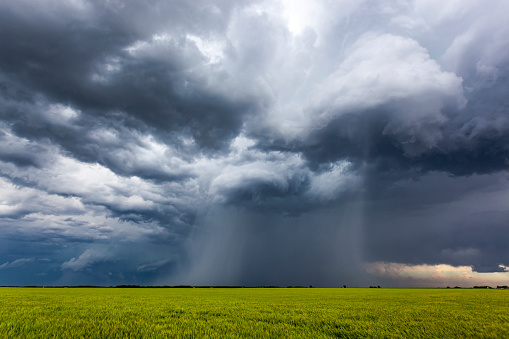 Rotating, threatening cumulonimbus storm clouds with rain-shaft over farmland.  Horizontal, copy space.