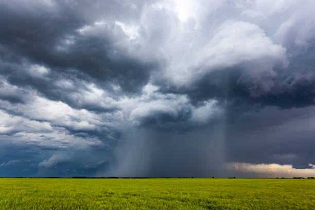 Severe, rotating storm clouds with torrential rain shaft over farmland Rotating, threatening cumulonimbus storm clouds with rain-shaft over farmland.  Horizontal, copy space. heavy rainfall stock pictures, royalty-free photos & images