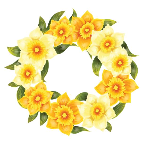 eleganter hintergrund mit gelbem narzissnarziss. frühlingsblume mit stiel und blättern. realistisches muster - daffodil stem yellow spring stock-grafiken, -clipart, -cartoons und -symbole