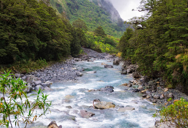 istock Creek 1 - Fiordland National Park 648009240
