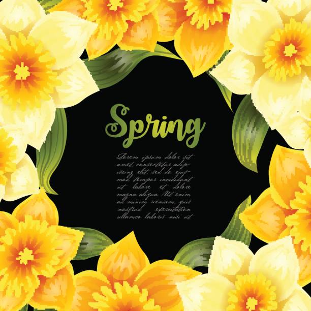 eleganter hintergrund mit gelbem narzissnarziss. frühlingsblume mit stiel und blättern. realistisches muster - daffodil stem yellow spring stock-grafiken, -clipart, -cartoons und -symbole