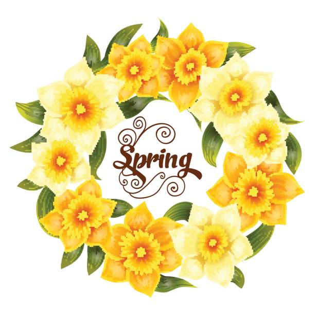 eleganter hintergrund mit gelbem narzissnarziss. frühlingsblume mit stiel und blättern. realistisches muster - daffodil stem yellow spring stock-grafiken, -clipart, -cartoons und -symbole