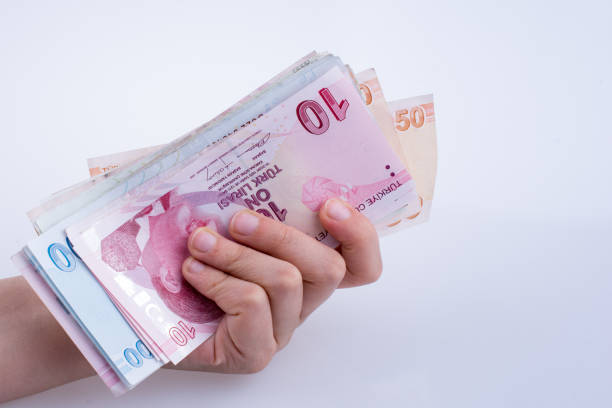 istock Hand holding Turksh Lira banknotes  in hand 648024344