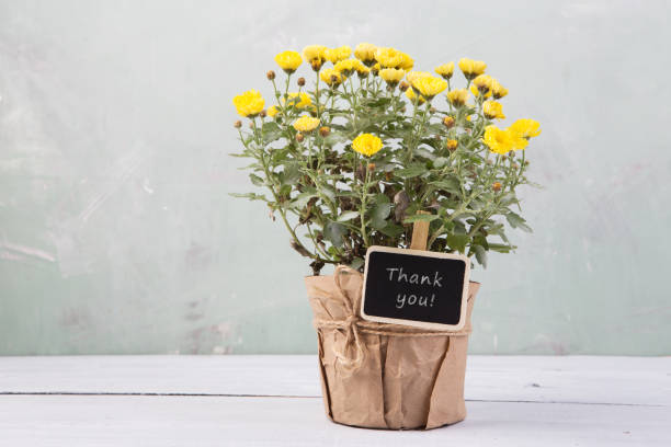 istock Thank you - beautiful  flowers in pot with message card 648029016