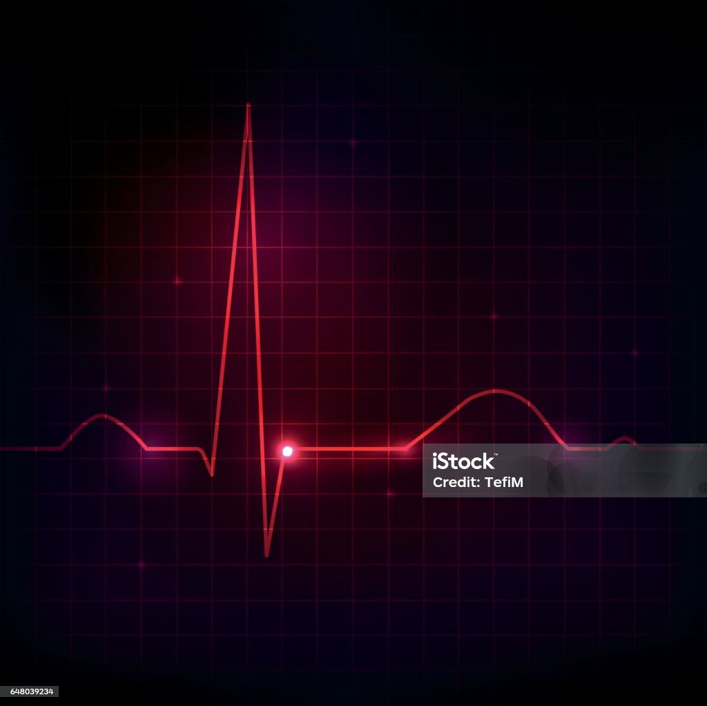 Heart Rythym Design Human Heart Rhythm Beautiful Bright Design Stock Illustration ...