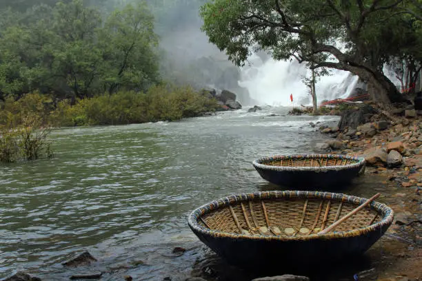 Coracles (traditional bamboo round boats,harigolu) seen at Shivanasamudra, Mandya District of the state of Karnataka,India