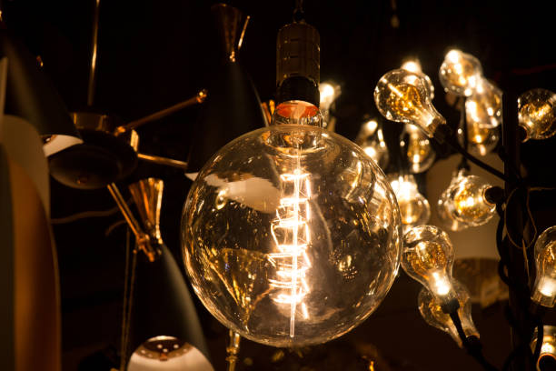 istock Decorative antique edison style filament light bulbs 648046622