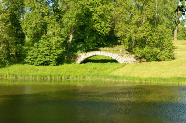 istock The natural landscape in the summer. 648059292