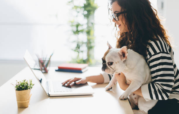 istock I'm not under stress when this cutie is here! 648062516