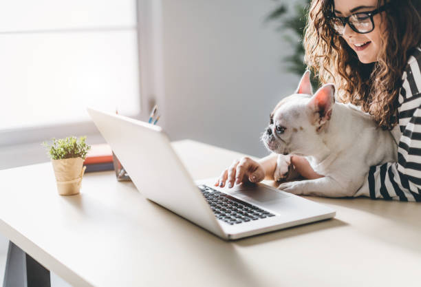 istock I'm not under stress when this cutie is here! 648064680