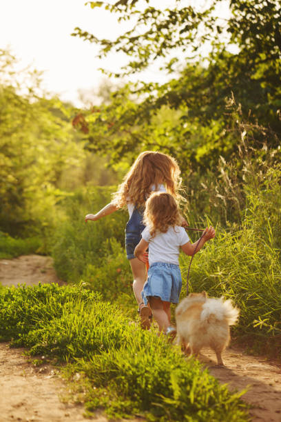istock Little sisters walk with the dog 648081282