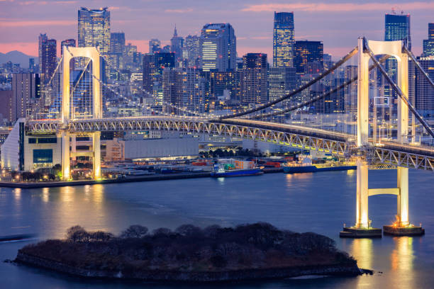 istock Tokyo skyline with Tokyo tower and rainbow bridge 648084468