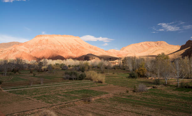istock Beatiful rocky landscape of Morocco 648089172
