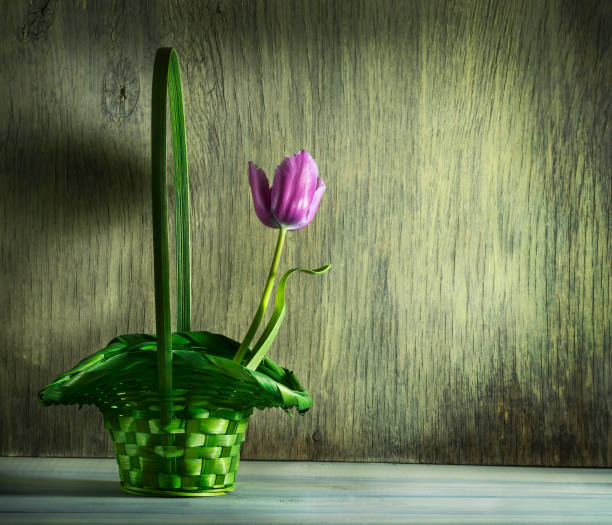 istock Spring tulips in a basket on a wooden background 648092536