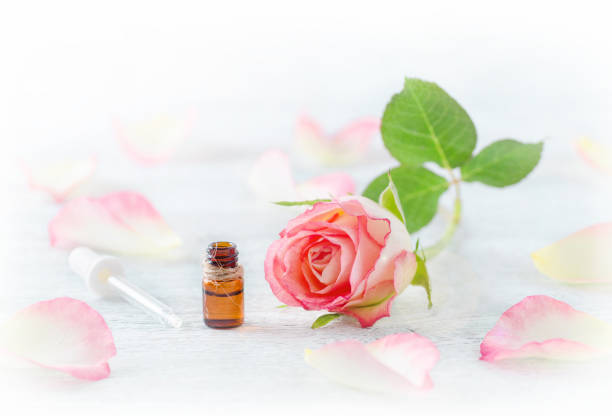 istock one ml bottle with essential oil, fresh rose and petals, pipette on white 648095118