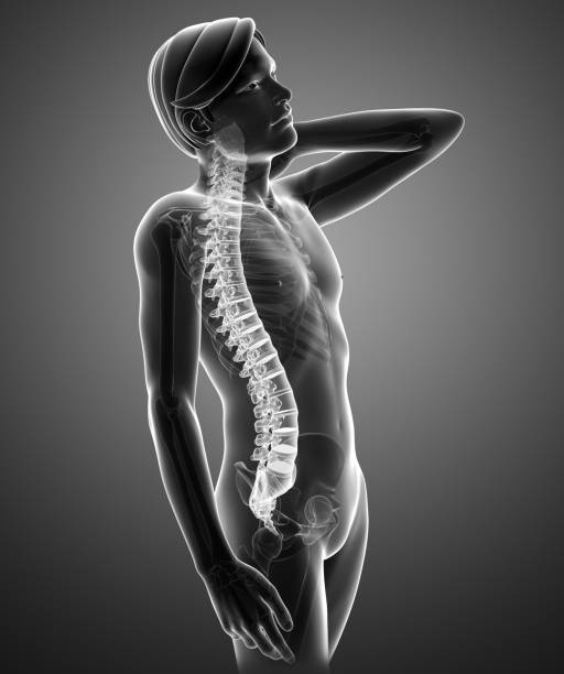 istock Male Feeling the back pain 648095300