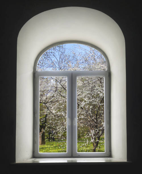 istock white semicircular modernist windows on a black wall
spring, flowers, cherry, apple, grass in the window 648095474