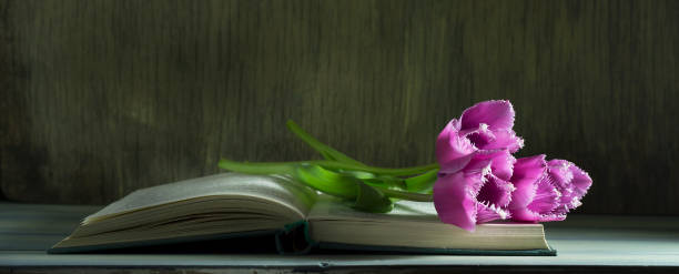 istock Spring tulips on an old book. Wooden background 648095750