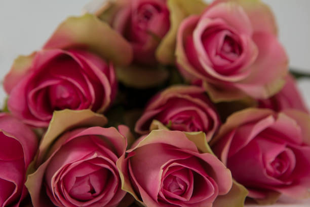 istock Bunch of pink roses 648095918
