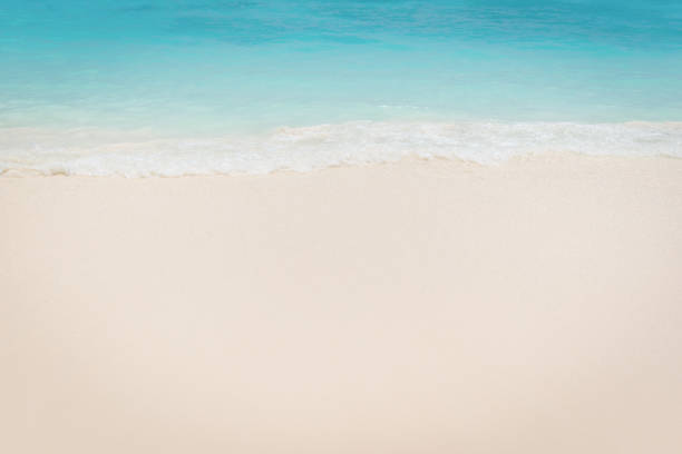 istock Tropical beach Sea, Sand and summer day 648101944