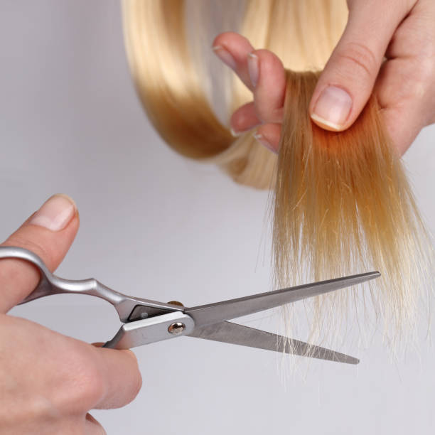 istock Stylish Professional Barber Scissors, Hair Cutting and Thinning Scissors on light grey background. Hairdresser salon concept, Hairdressing Set. Haircut accessories. 648108282