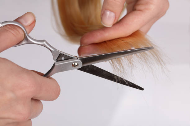 istock Stylish Professional Barber Scissors, Hair Cutting and Thinning Scissors on light grey background. Hairdresser salon concept, Hairdressing Set. Haircut accessories. 648111422