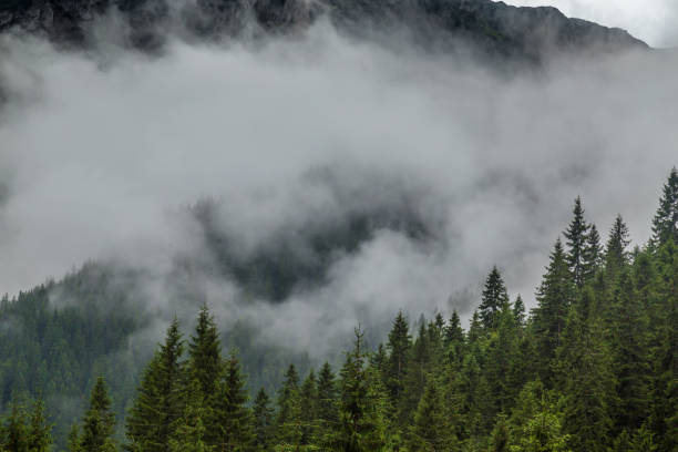 istock Mountain scenery in the Alps, with storm clouds and mist after rain 648117182