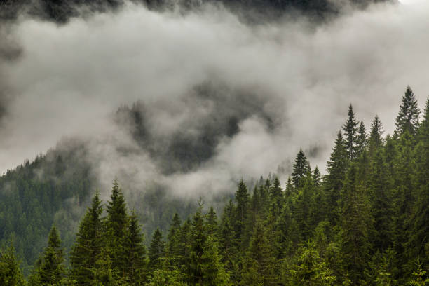 istock Mountain scenery in the Alps, with storm clouds and mist after rain 648117200