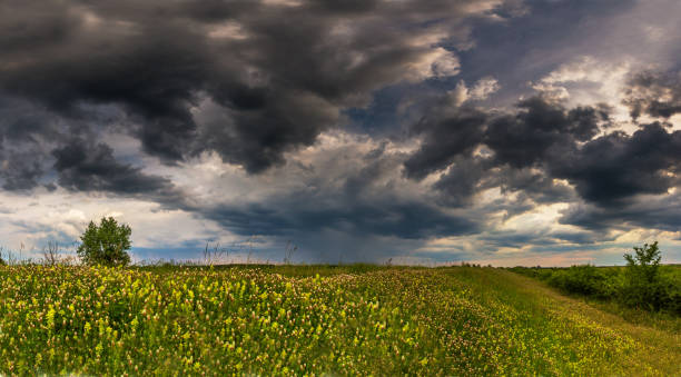 istock Mountain scenery in the Alps, with storm clouds and mist after rain 648117220