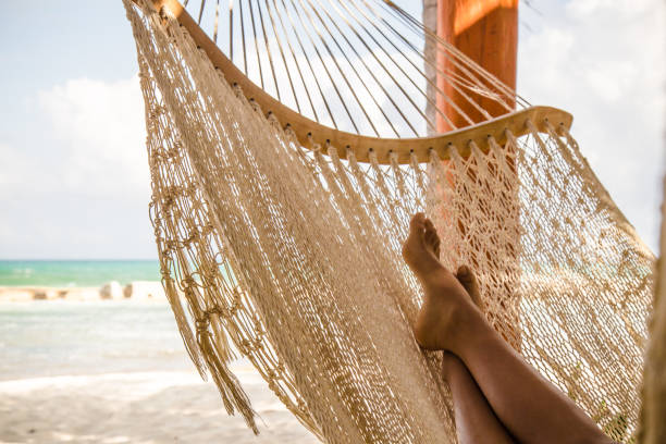 istock Young girl in hammock 648117286