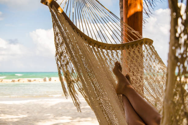 istock Young girl in hammock 648117288