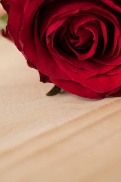 istock Red rose against wooden background 648129850