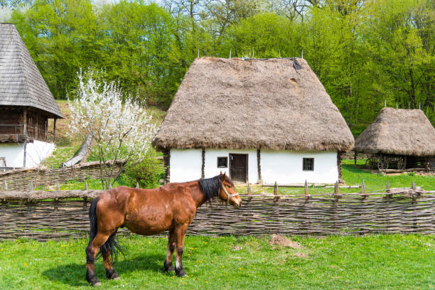 A traditional Black Forest Farmstead in Southern Germany at summer time