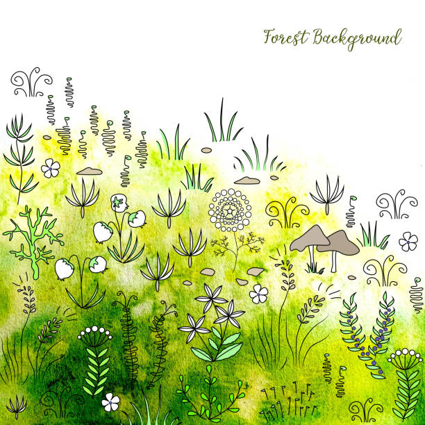 istock Hand drawn forest plants and grass on fresh watercolor background 648151256