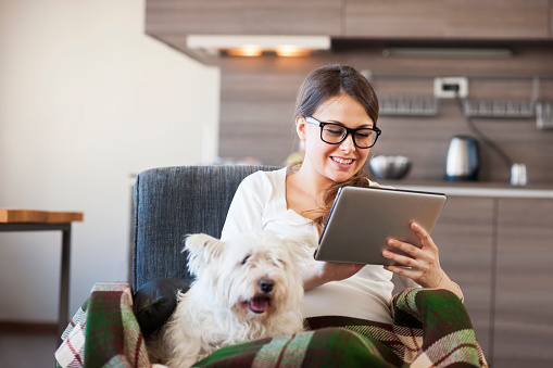 Young pregnant woman enjoying home with her pet, using digital tablet