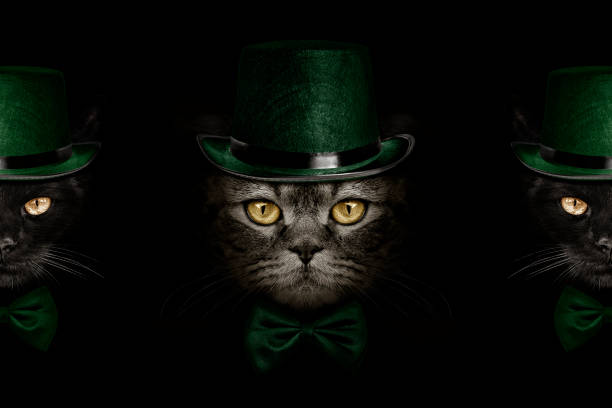 istock dark muzzle cat  in green hat and tie butterfly 648157522