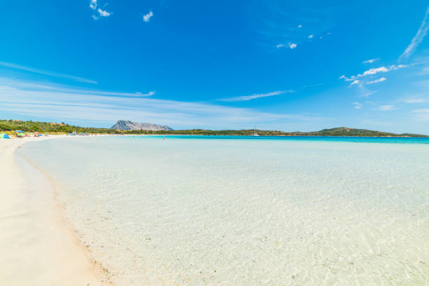 istock Cala Brandinchi on a sunny day 648161564