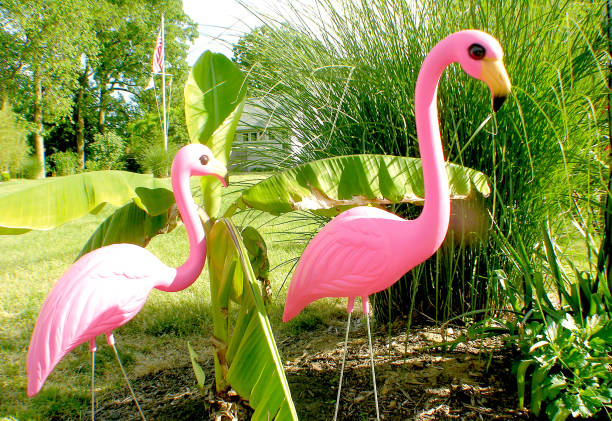 istock Pink Flamingoes 648175682