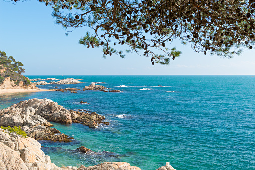 Landscapes and details of the Coast Brave (Costa Brava) in Girona (Spain)