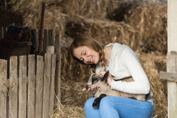 istock Eastern Europe: Lifestyle-Young woman hugging kid goat 648176036