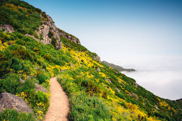 Footpath leading to the top of Pico Ruivo, the highest mountain on Madeira Island.