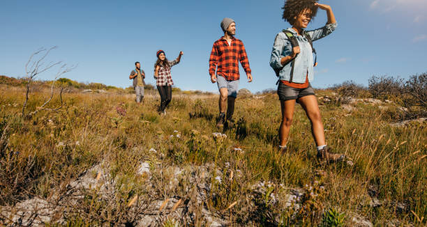 istock Young friends hiking in countryside 648192006