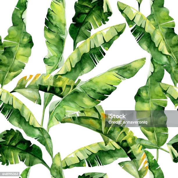 Seamless Watercolor Illustration Of Tropical Leaves Dense Jungle Stock Illustration - Download Image Now