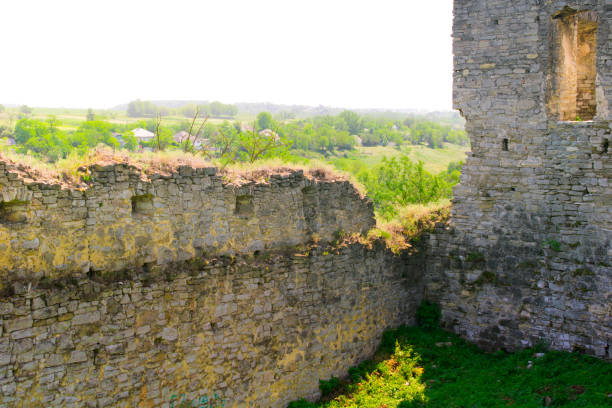 starożytny zamek we wsi scala podolsk, ukraina - podolsk zdjęcia i obrazy z banku zdjęć