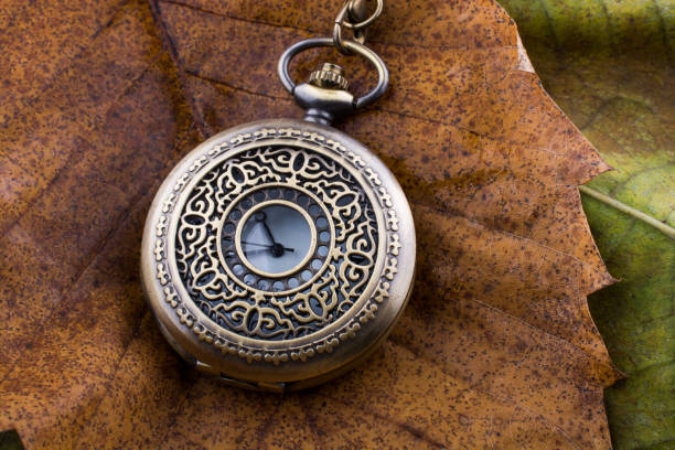 istock Retro style classic pocket watch on a dry leaves 648214872